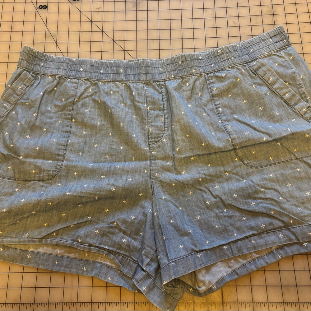 Sonoma beach shorts 2x